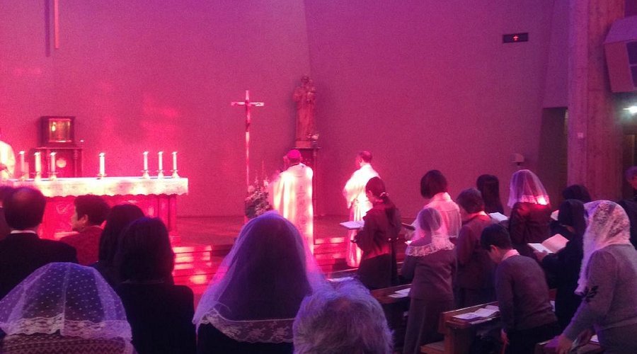 ⛪ 가고시마 자비에르 기념 대성당 (가고시마 가테도라루 자비에루 키넨 세이도) 이미지 4